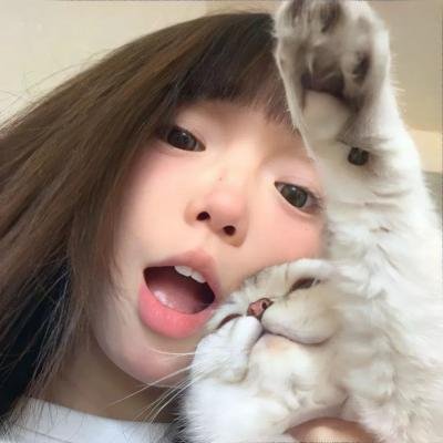笨金鱼